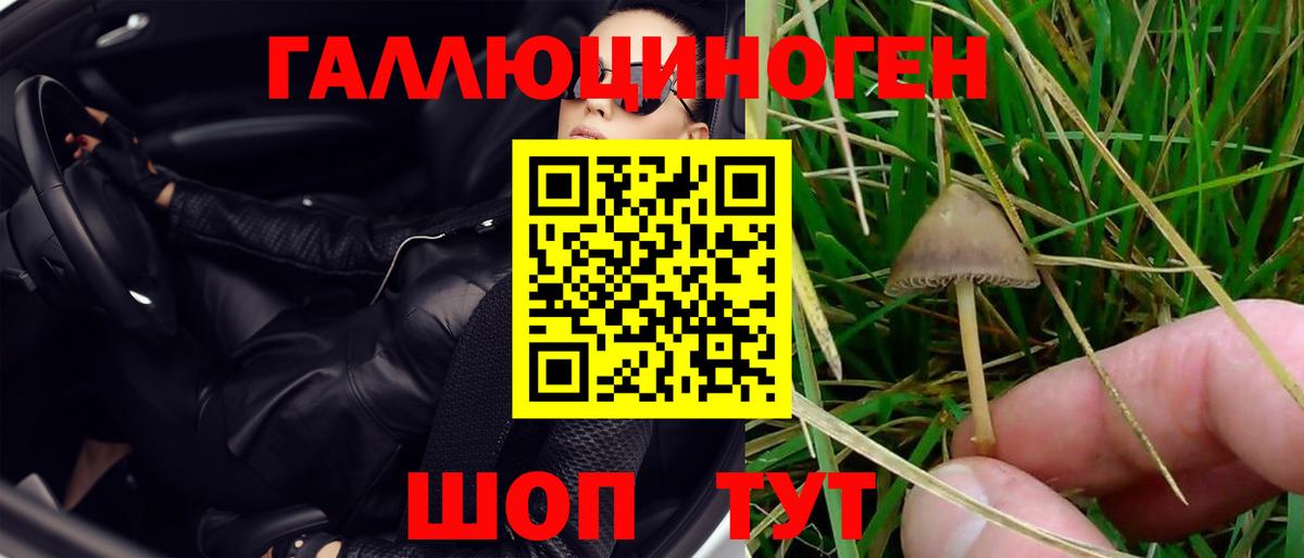 Псилоцибиновые грибы ЛСД Энгельс