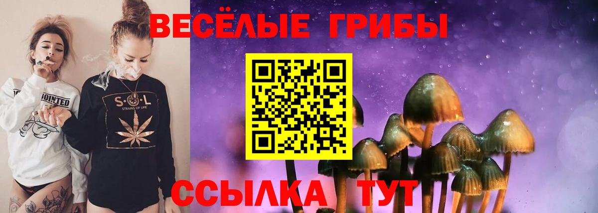Энгельс  Псилоцибиновые грибы MAGIC MUSHROOMS  Вход с VPN  Галлюциногенные грибы мицелий 